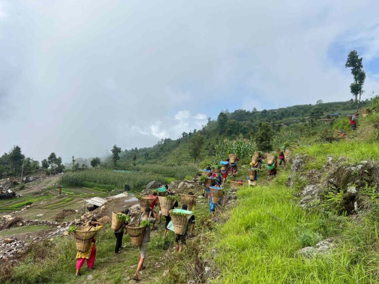 Tick Tock – It’s time to plant trees