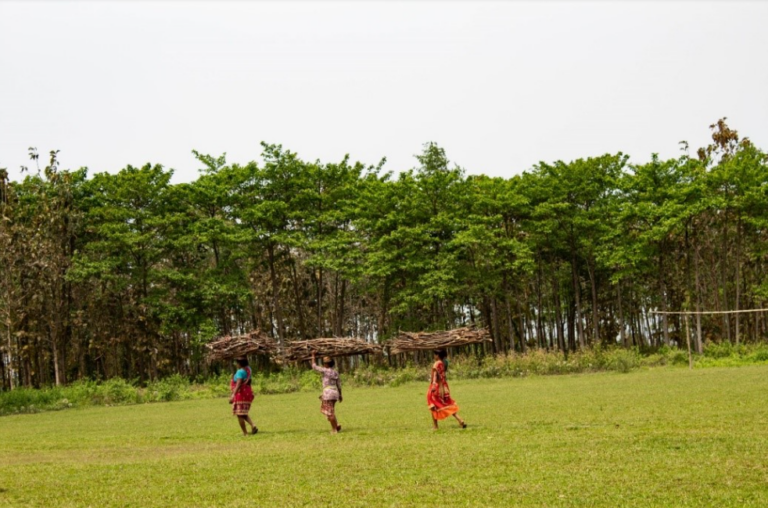 Community forest and people