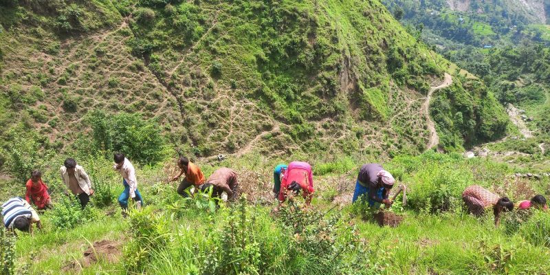 Plantation-2024 (29)