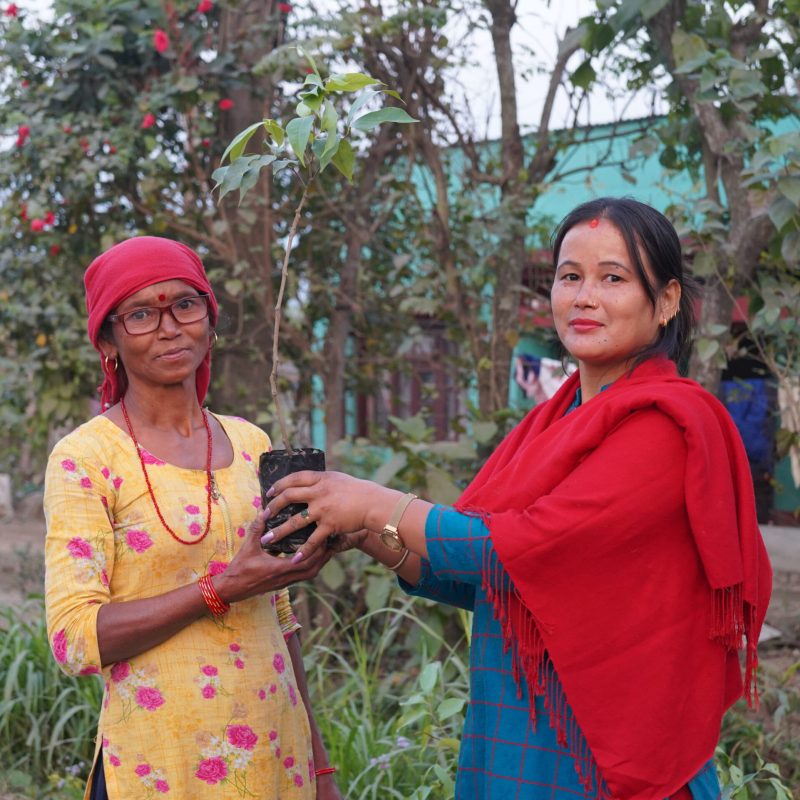 Udayapur, Chitwan (10)