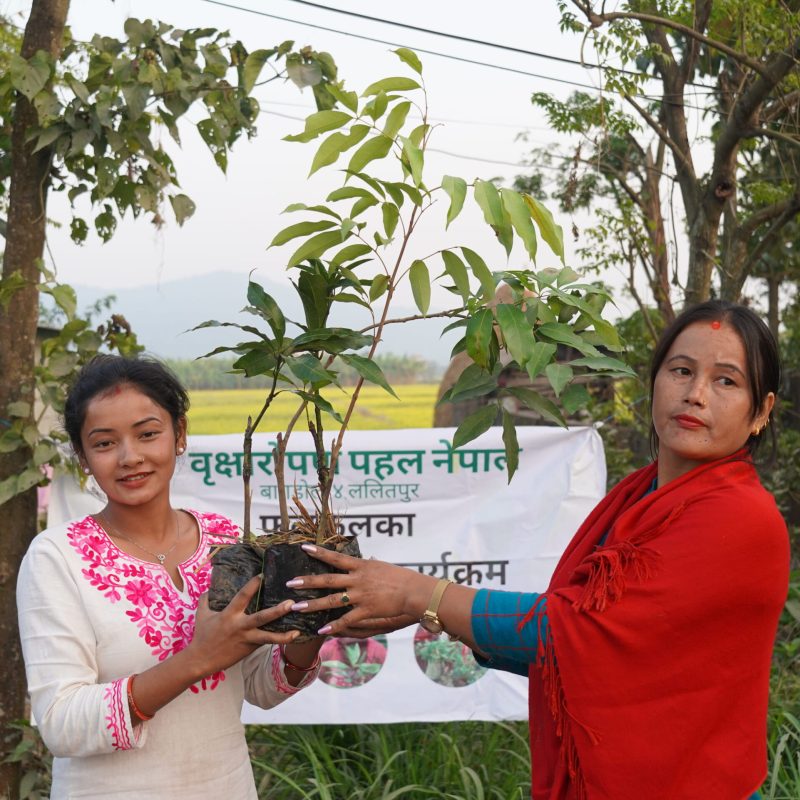 Udayapur, Chitwan (7)